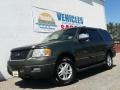 Ford Expedition XLT 4x4 Estate Green Metallic photo #1