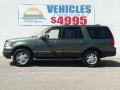 Ford Expedition XLT 4x4 Estate Green Metallic photo #2