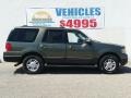 Ford Expedition XLT 4x4 Estate Green Metallic photo #4