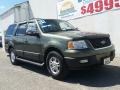 Ford Expedition XLT 4x4 Estate Green Metallic photo #23