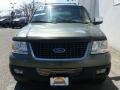 Ford Expedition XLT 4x4 Estate Green Metallic photo #27