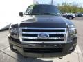 Ford Expedition Limited 4x4 Tuxedo Black photo #9
