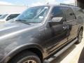 Ford Expedition EL XLT Magnetic Metallic photo #38