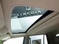 Lincoln Navigator 4x4 Ingot Silver photo #20