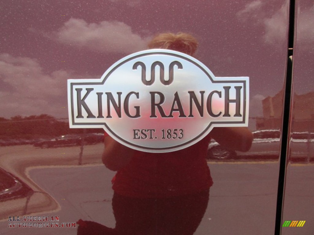 2015 Expedition King Ranch - Bronze Fire Metallic / King Ranch Mesa Brown photo #13