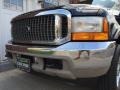 Ford Excursion Limited 4x4 Deep Wedgewood Blue Metallic photo #35