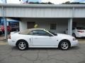 Ford Mustang V6 Convertible Oxford White photo #1