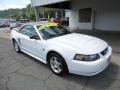 Ford Mustang V6 Convertible Oxford White photo #9