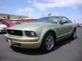 Ford Mustang V6 Deluxe Coupe Legend Lime Metallic photo #3