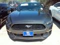 Ford Mustang V6 Coupe Guard Metallic photo #5
