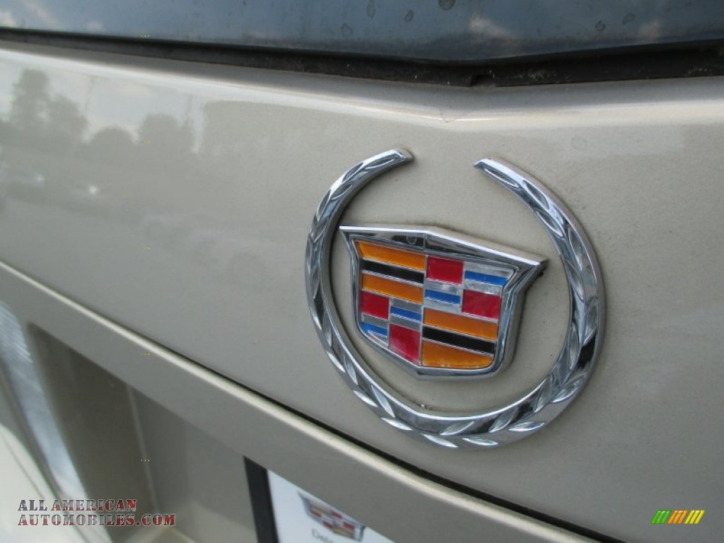 2008 SRX 4 V6 AWD - Gold Mist / Cashmere/Cocoa photo #36