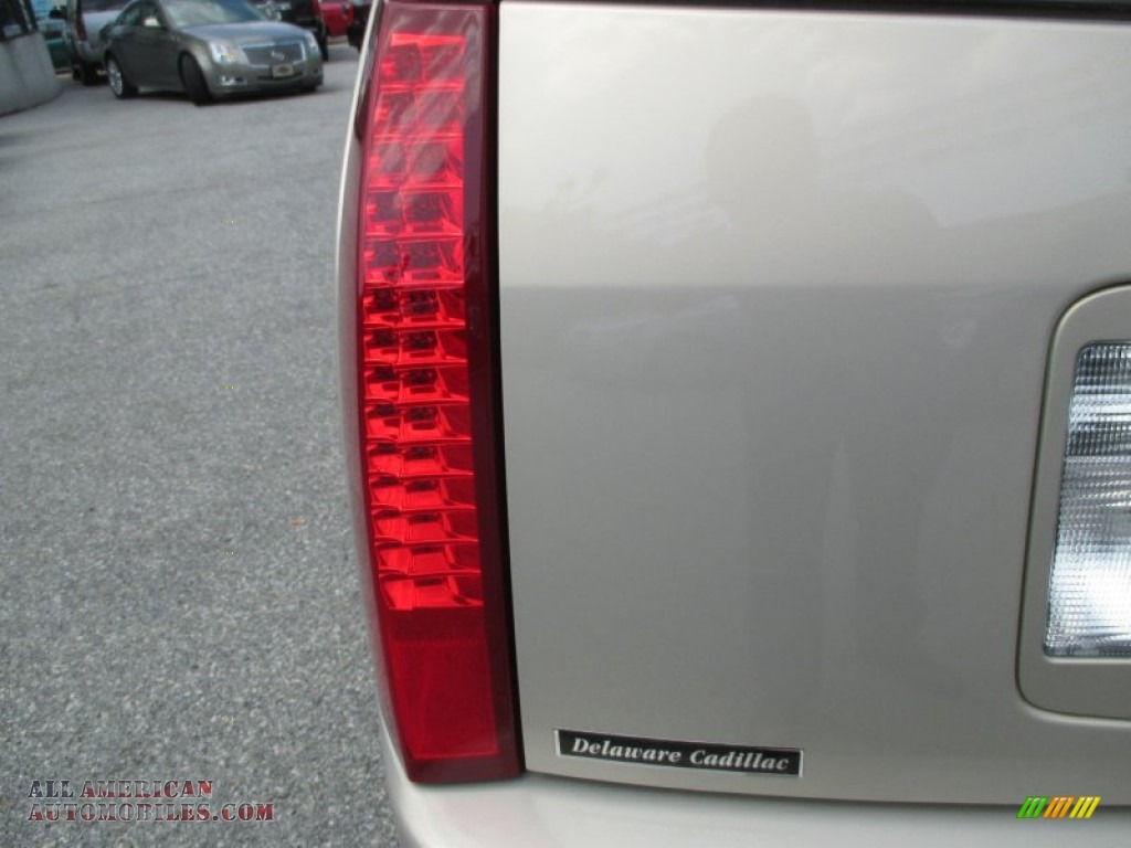 2008 SRX 4 V6 AWD - Gold Mist / Cashmere/Cocoa photo #37
