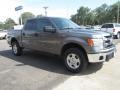 Ford F150 XLT SuperCrew 4x4 Sterling Grey photo #2