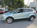 Ford Escape SE 1.6L EcoBoost Frosted Glass Metallic photo #3