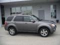 Ford Escape Limited V6 4WD Sterling Gray Metallic photo #2