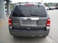 Ford Escape Limited V6 4WD Sterling Gray Metallic photo #9