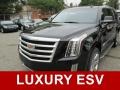 Cadillac Escalade ESV Luxury 4WD Black Raven photo #1