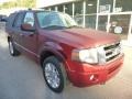 Ford Expedition Limited 4x4 Autumn Red Metallic photo #2