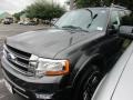 Ford Expedition XLT Magnetic Metallic photo #2