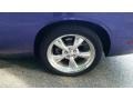 Dodge Challenger R/T Classic Furious Fuchsia Edition Plum Crazy Purple Pearl photo #37