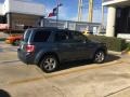 Ford Escape Limited V6 Steel Blue Metallic photo #4