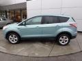 Ford Escape SE 1.6L EcoBoost 4WD Frosted Glass Metallic photo #2