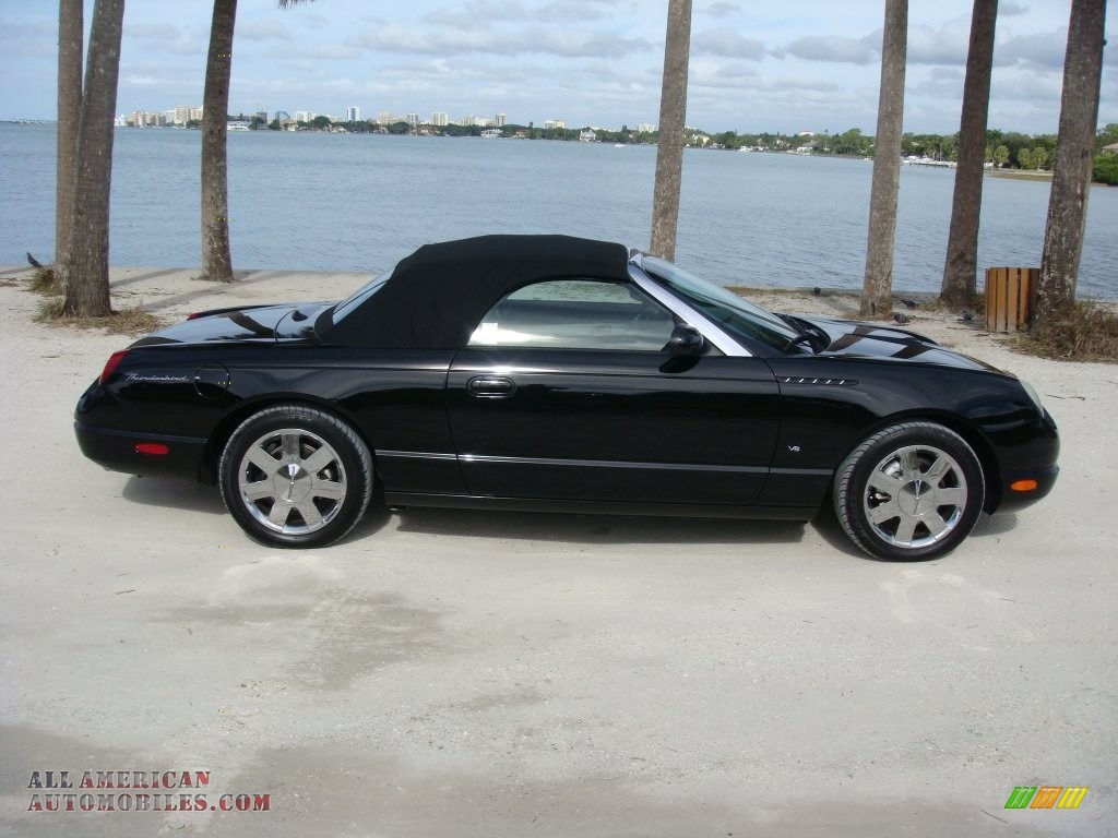 2003 Thunderbird Premium Roadster - Evening Black / Black Ink/Saddle photo #21
