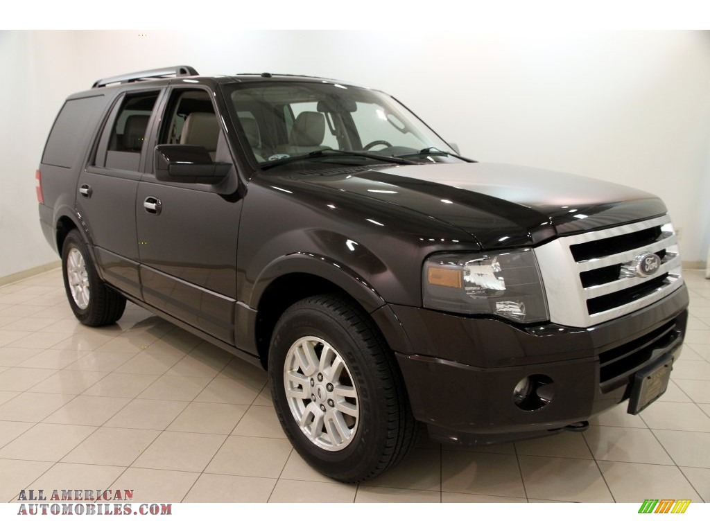 Kodiak Brown / Stone Ford Expedition Limited 4x4