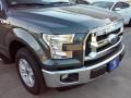 Ford F150 XLT SuperCab Magnetic photo #3