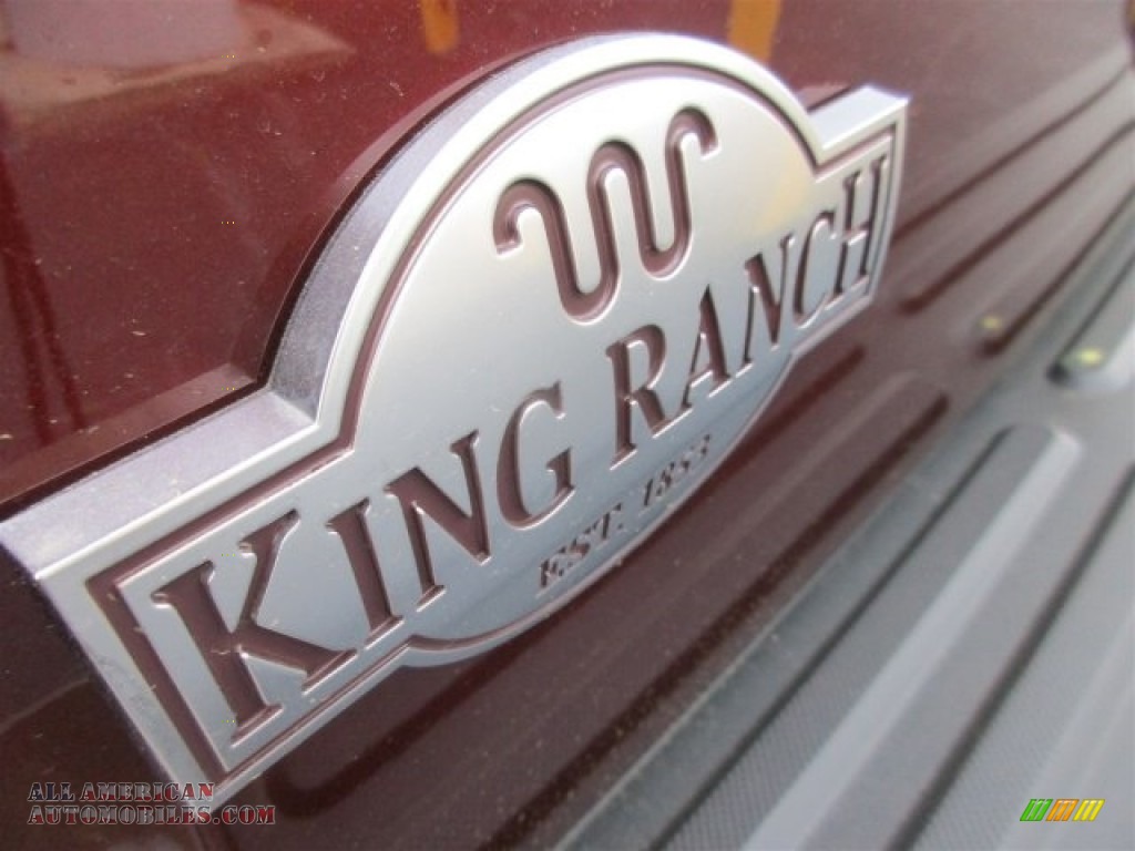 2016 Expedition King Ranch - Bronze Fire Metallic / King Ranch Mesa Brown/Ebony photo #6