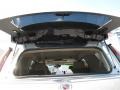 Cadillac Escalade Luxury 4WD Silver Coast Metallic photo #29