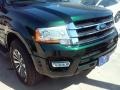 Ford Expedition XLT Green Gem Metallic photo #3