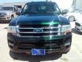 Ford Expedition XLT Green Gem Metallic photo #6