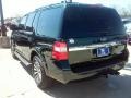 Ford Expedition XLT Green Gem Metallic photo #8