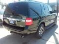 Ford Expedition XLT Green Gem Metallic photo #9