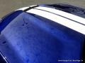Ford Mustang Shelby GT350 Deep Impact Blue Metallic photo #35