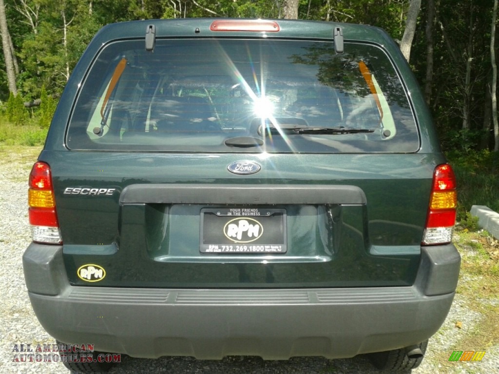 2004 Escape XLS V6 4WD - Aspen Green Metallic / Medium/Dark Flint photo #6