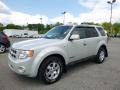 Ford Escape Limited 4WD Light Sage Metallic photo #1
