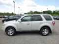 Ford Escape Limited 4WD Light Sage Metallic photo #2