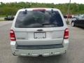 Ford Escape Limited 4WD Light Sage Metallic photo #4