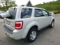Ford Escape Limited 4WD Light Sage Metallic photo #5