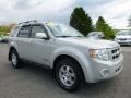 Ford Escape Limited 4WD Light Sage Metallic photo #7