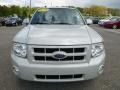 Ford Escape Limited 4WD Light Sage Metallic photo #8