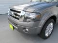 Ford Expedition Limited Sterling Gray photo #7
