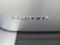 Ford Expedition Limited Ingot Silver photo #13