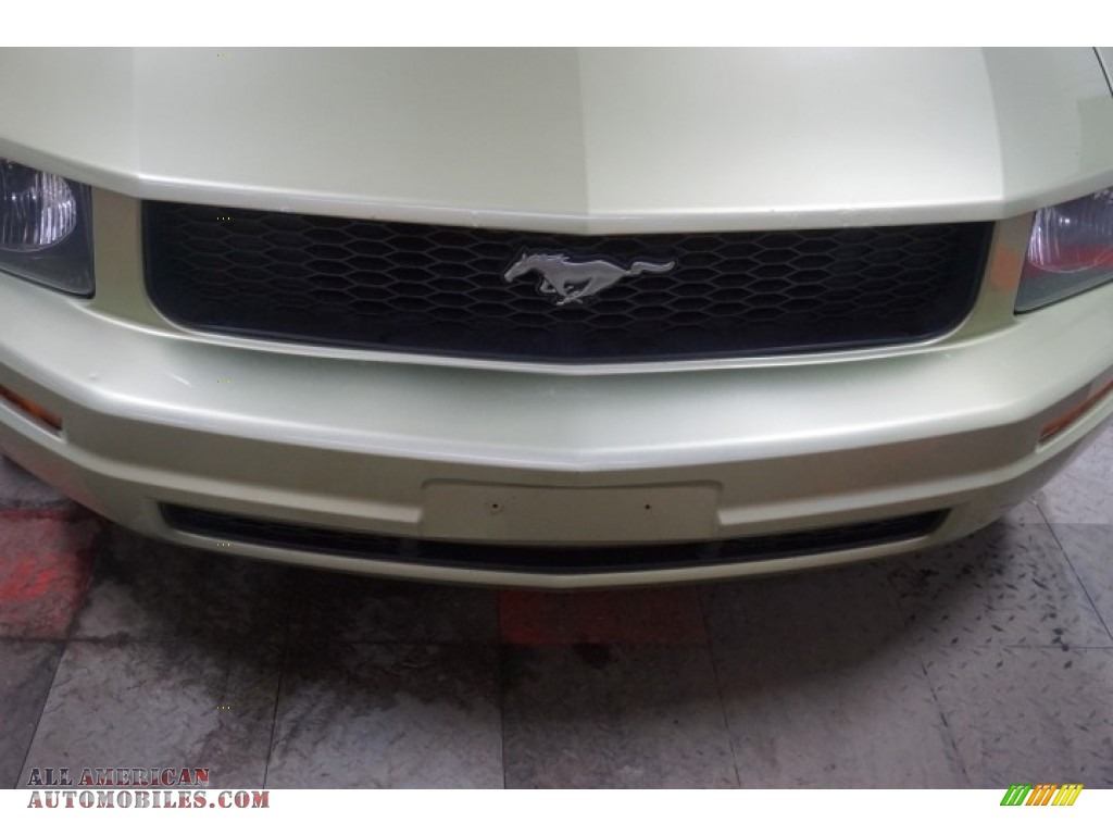 2006 Mustang V6 Premium Coupe - Legend Lime Metallic / Red/Dark Charcoal photo #44