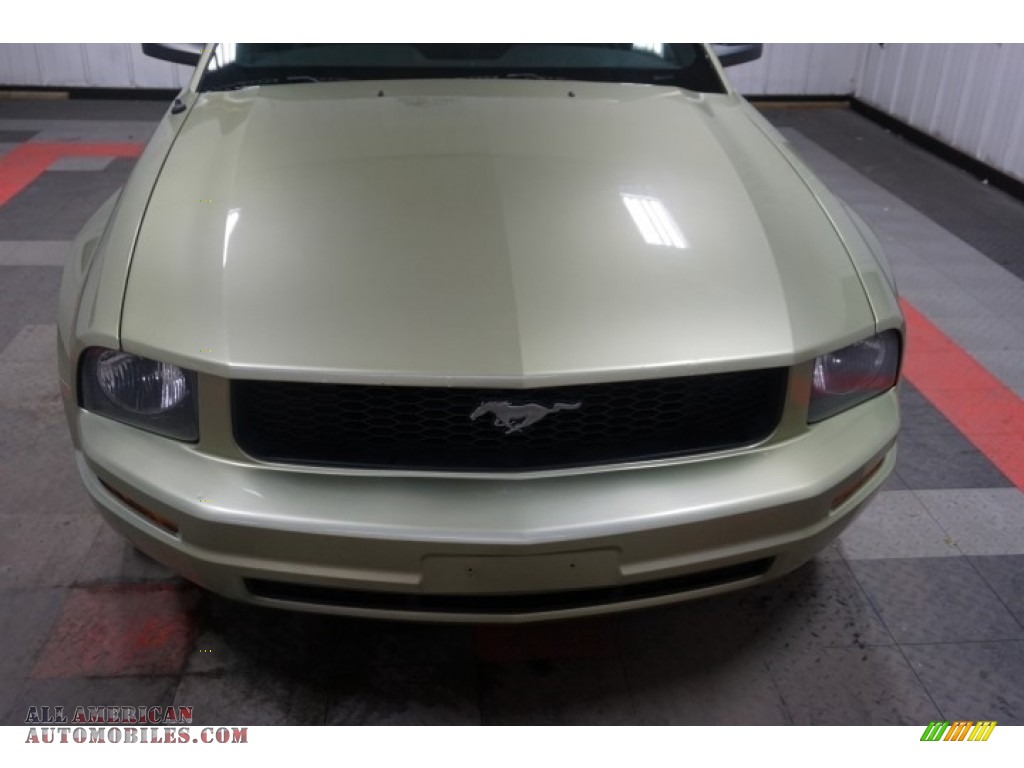 2006 Mustang V6 Premium Coupe - Legend Lime Metallic / Red/Dark Charcoal photo #45