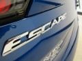 Ford Escape S Lightning Blue photo #30