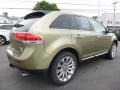 Lincoln MKX AWD Ginger Ale photo #5