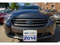 Ford Taurus Limited Sterling Gray photo #2